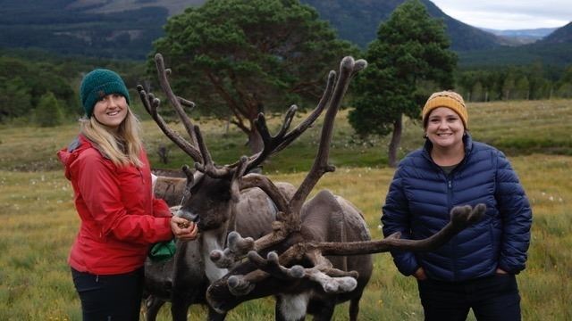 Susan Calman's 'unveiling' of some Scottish secrets is on tonight and will include the Cairngorm reindeer herd, here being tended by Fiona (left)