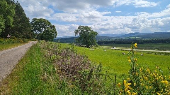 The Cairngorms National Park Authority applied to the fund on behalf of the Dulnain Bridge community