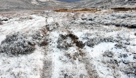 Balavil Estate, Balavil Farm, Cairngorms National Park Authority, CNPA
