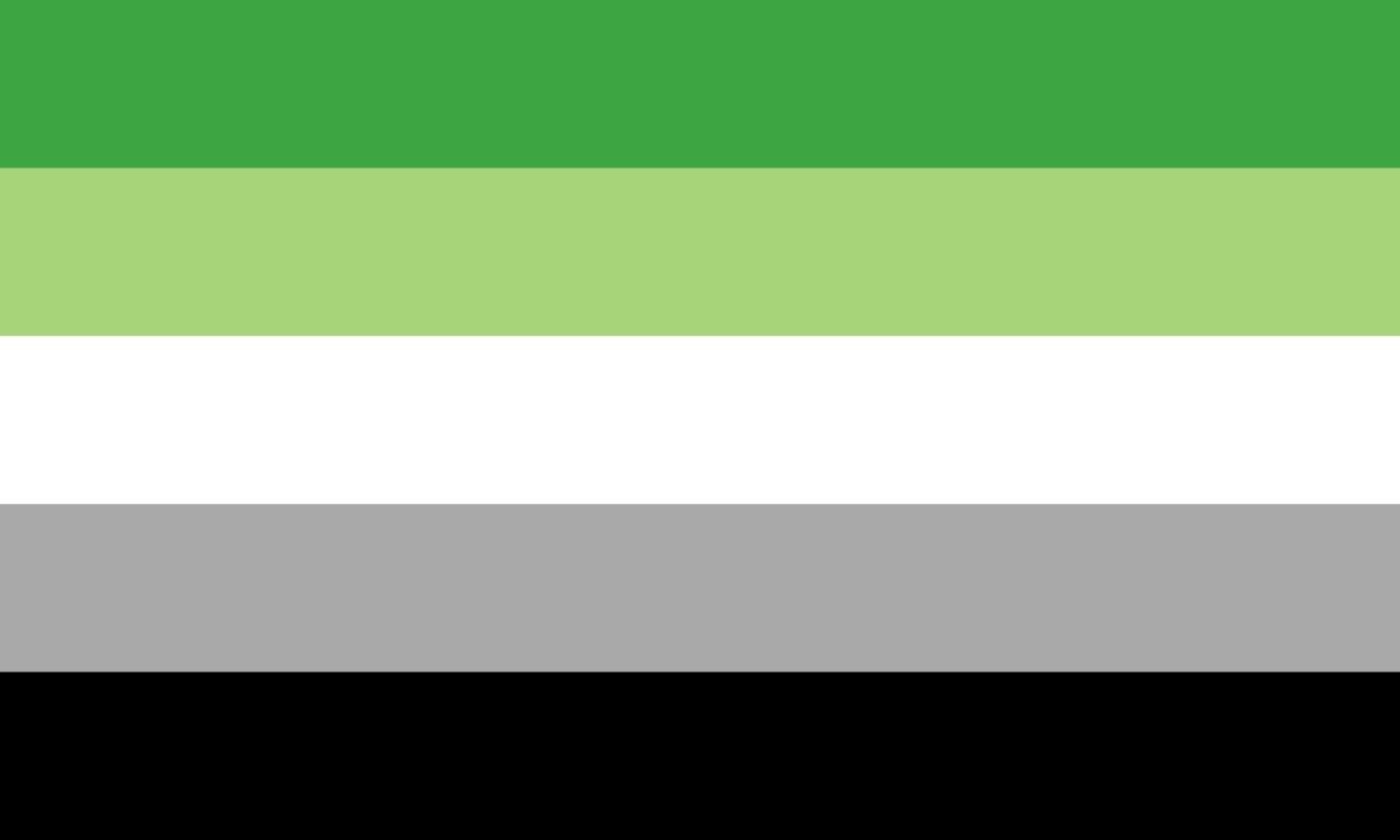 The pride flag representing aromantic people.