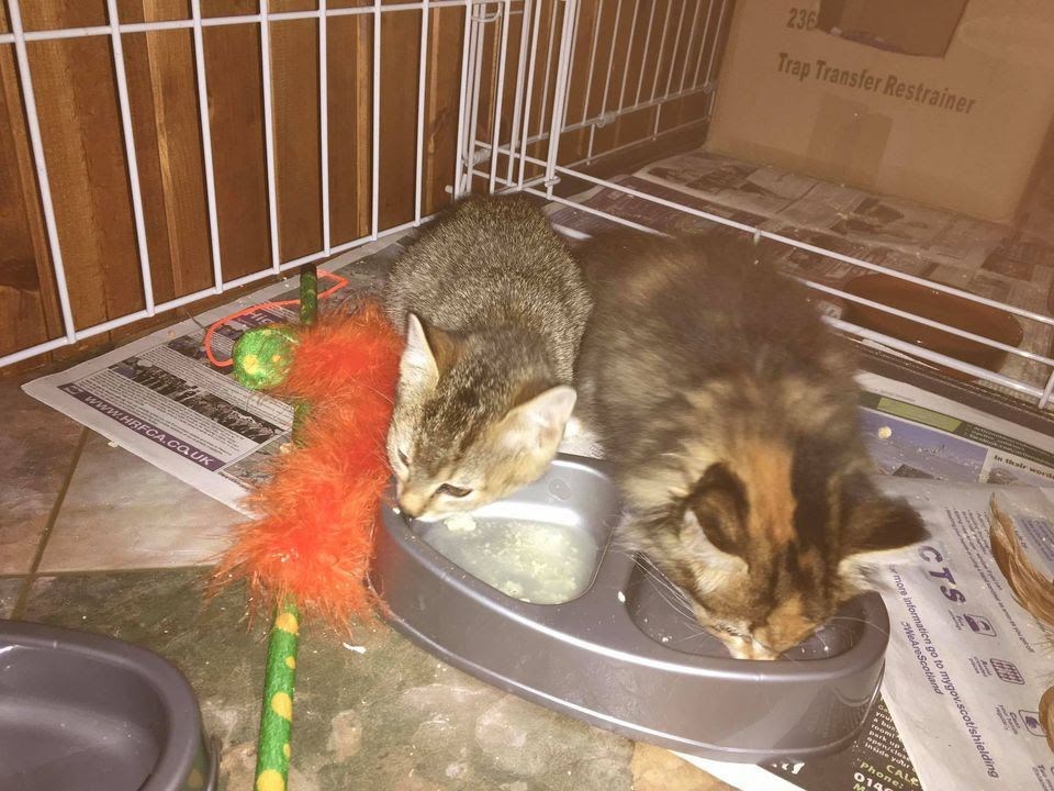 Safe and sound - and hungry!