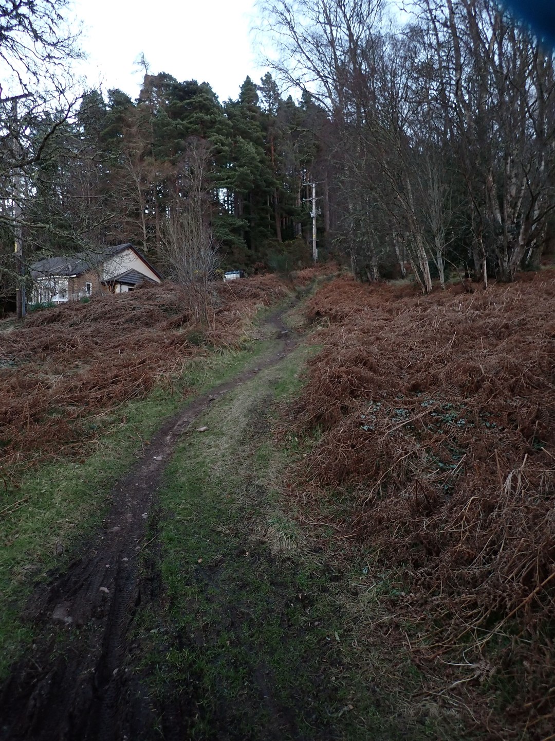 The final descent on the singletrack that drops you out on the road at Dores.