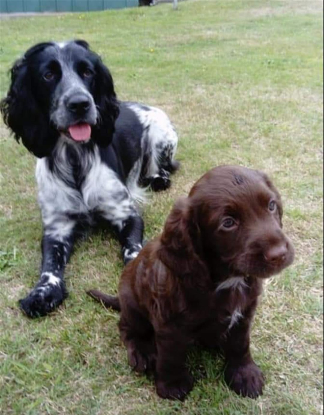 Bramble with mum Bella.