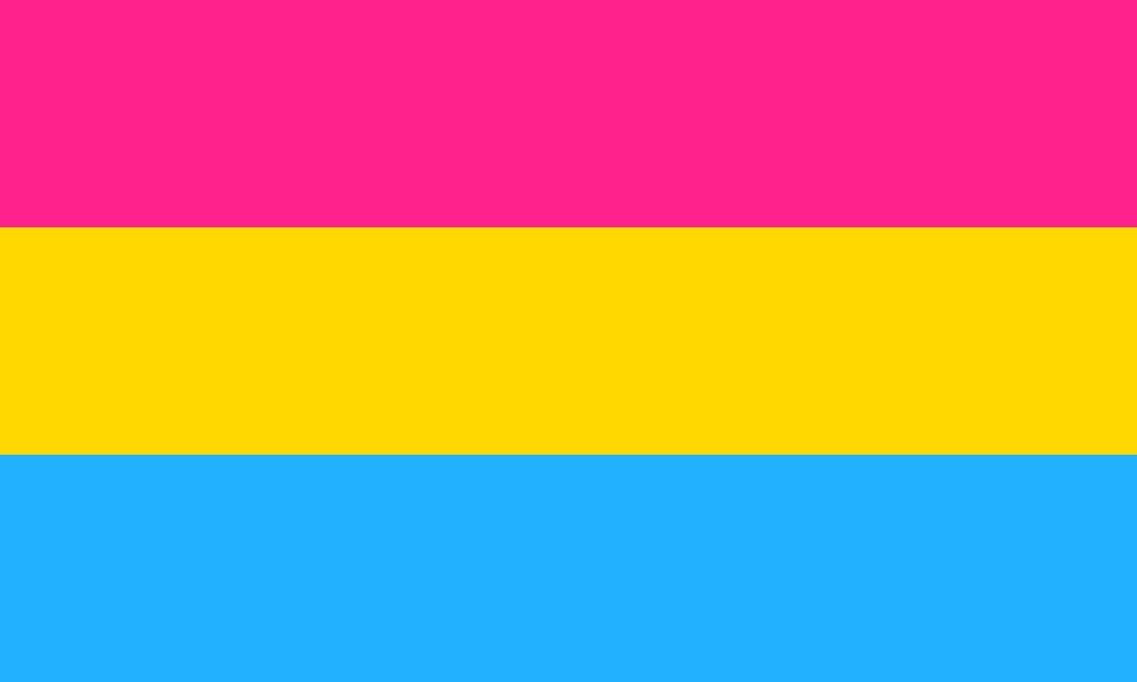 The pride flag representing pansexual people.
