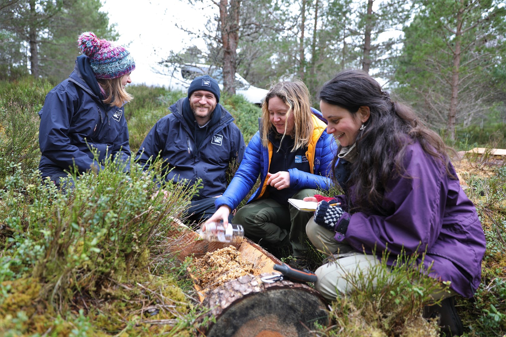 The pine hoverly team at work. Picture: RZSS