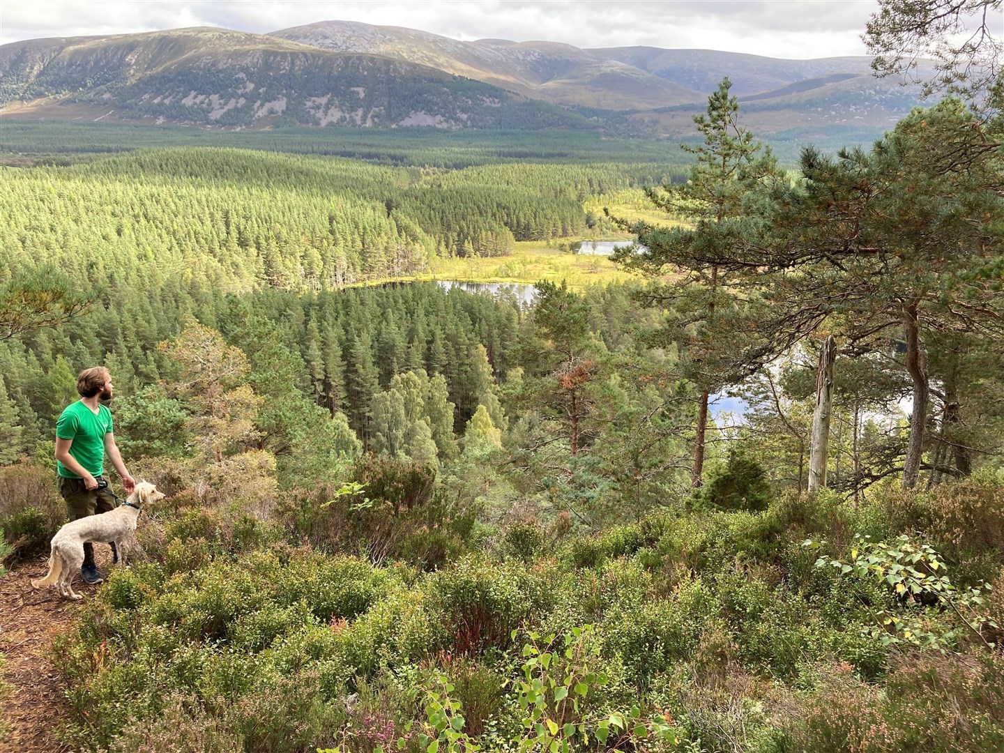 The Uath Lochans at Kincraig (Picture: Olly Davies)