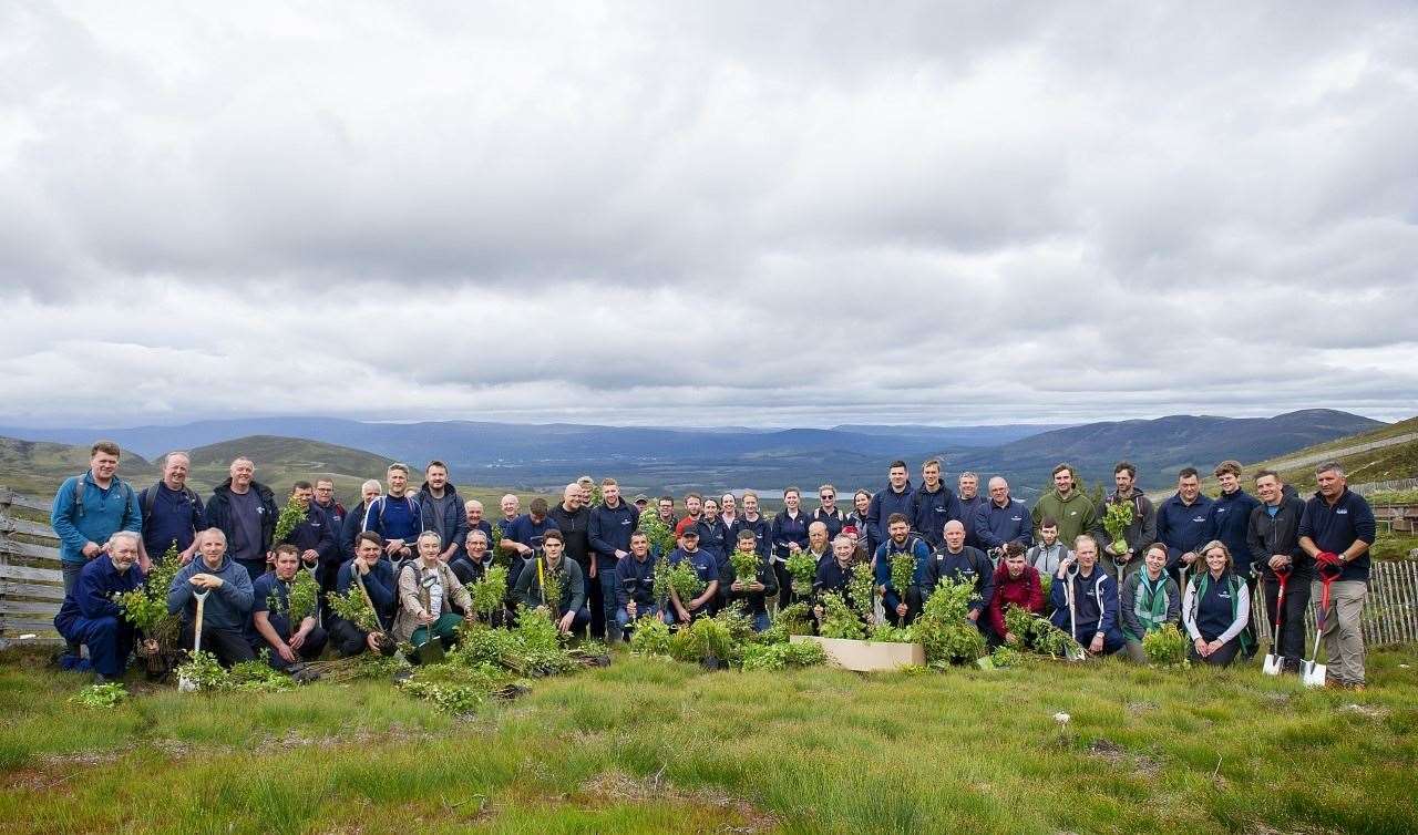 Coming together in the Cairngorms to create a more natural treeline on the mountain.