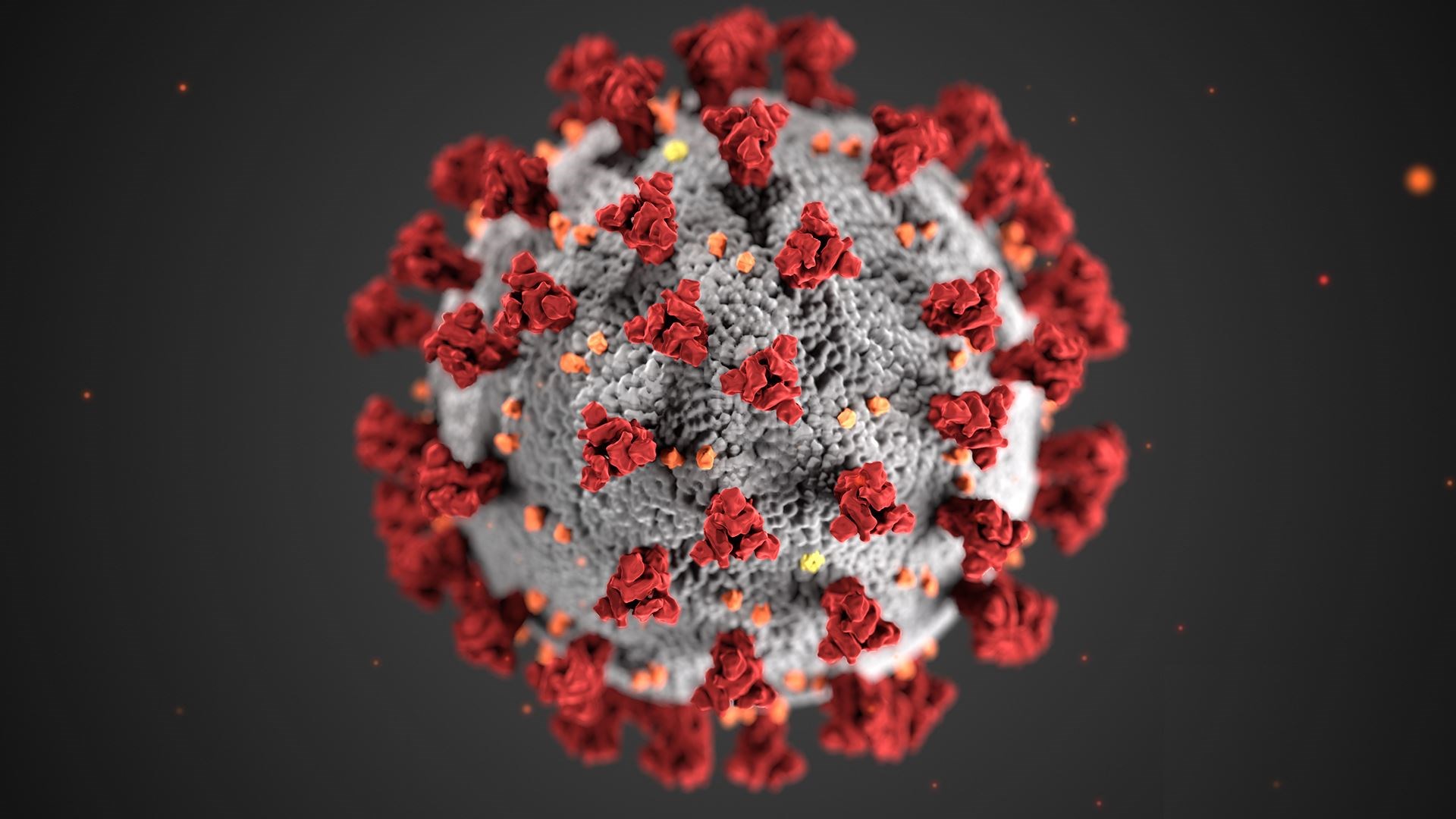 Latest figures have revealed 29 people have died because of coronavirus in the NHS Highland area.