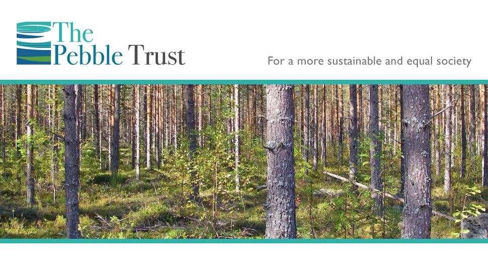 Pebble Trust urges action on climate change and is offering financial assistance to local projects