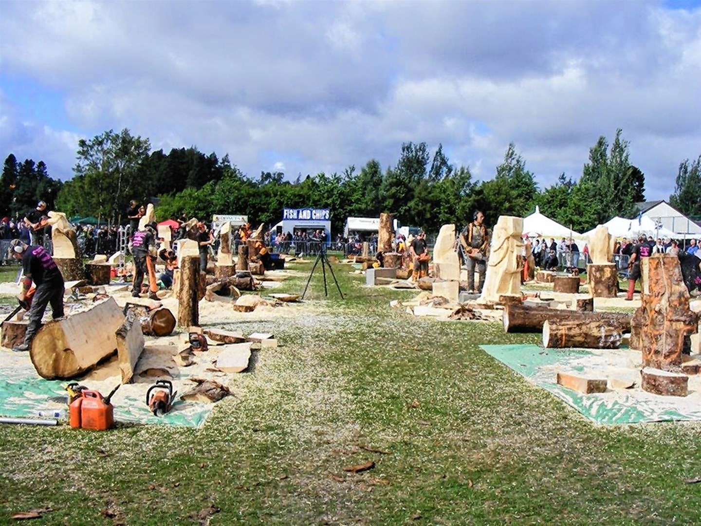Some of the best carvers from across the world will be competing at CarveCarrbridge.