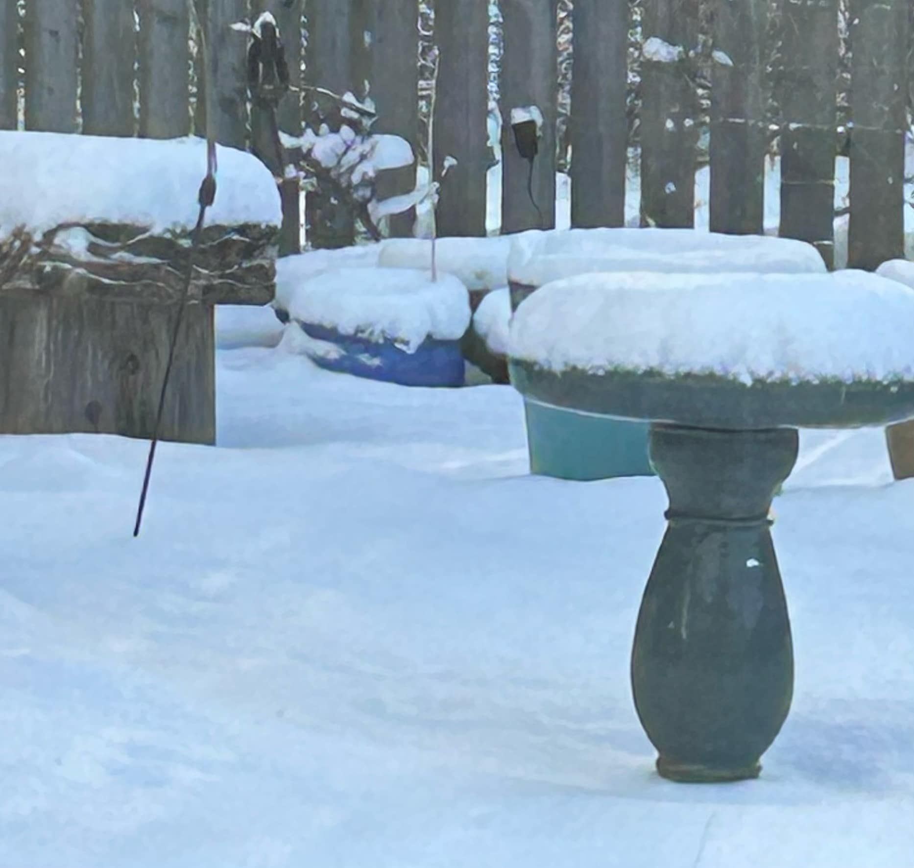 THICK WITH THE COLD: A garden today in Carrbridge where temperatures have continued falling. Picture: Pete Carson