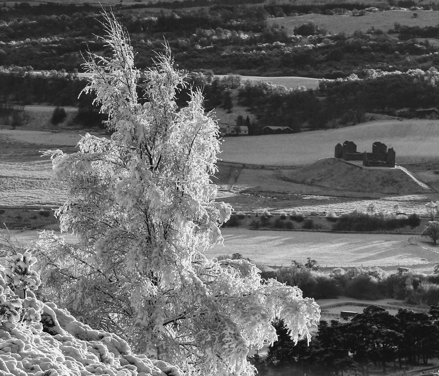 A white Christmas tree overlooking Kingussie's frozen Ruthven Barracks (David Macleod)