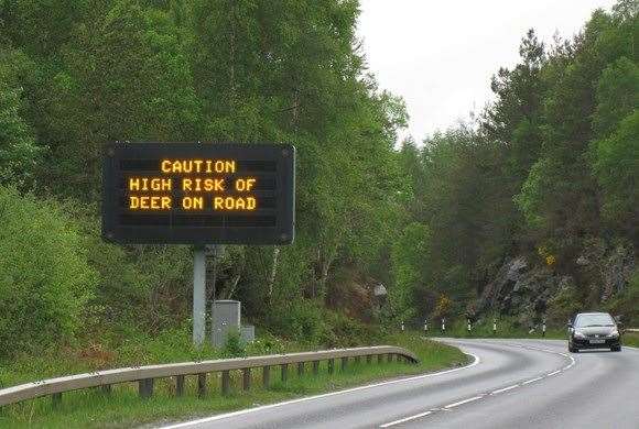 Motorists are being warned that deer could be in the road.
