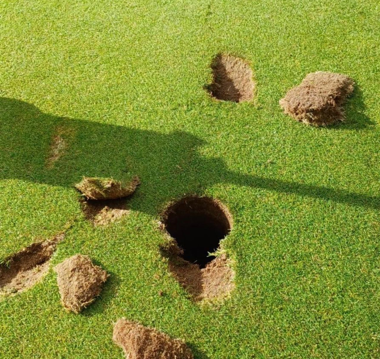 The hole and surrounding area was badly damaged at the 14th at Newtonmore course.