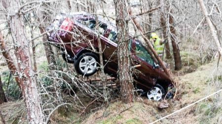 The pensioner's car ended up amongst trees