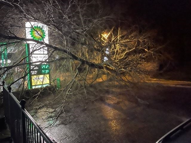 The large tree just missed the main forecourt of the BP filling station on Grampian Road.