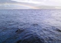 The latest sighting of Nessie