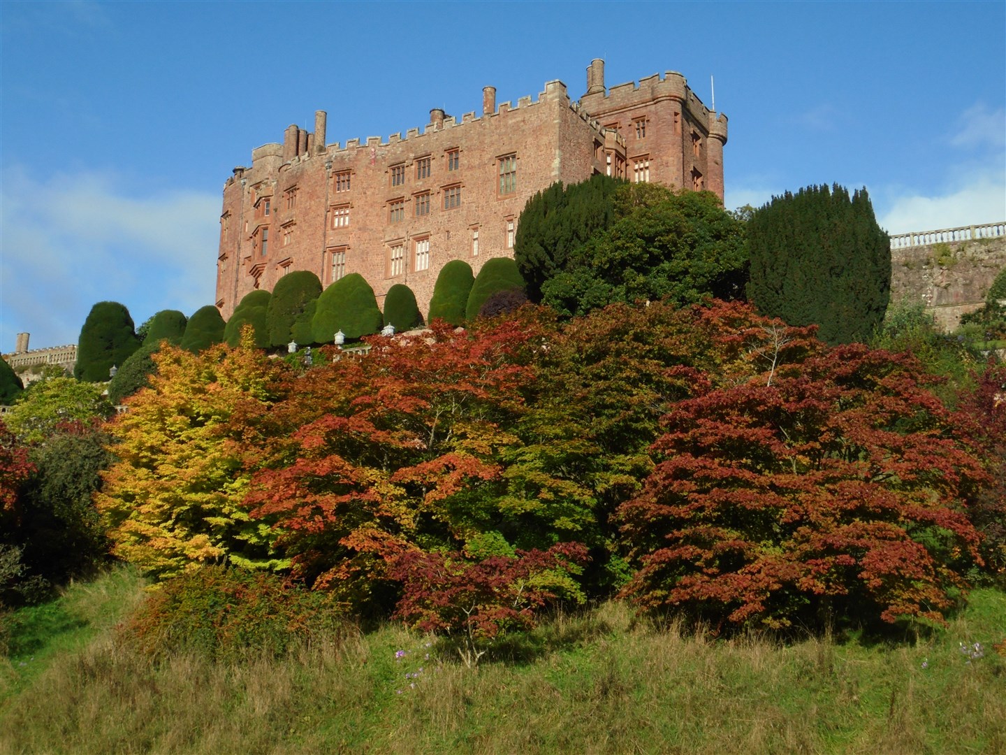 Acers starting to turn a deep red at Powis Castle in Wales (David Swanton/National Trust Images/PA)