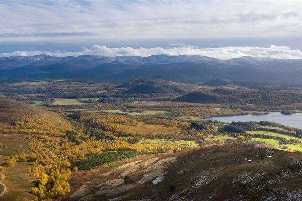 A new forestry creation and management plan is being drawn up for Kinrara Estate south of Aviemore.
