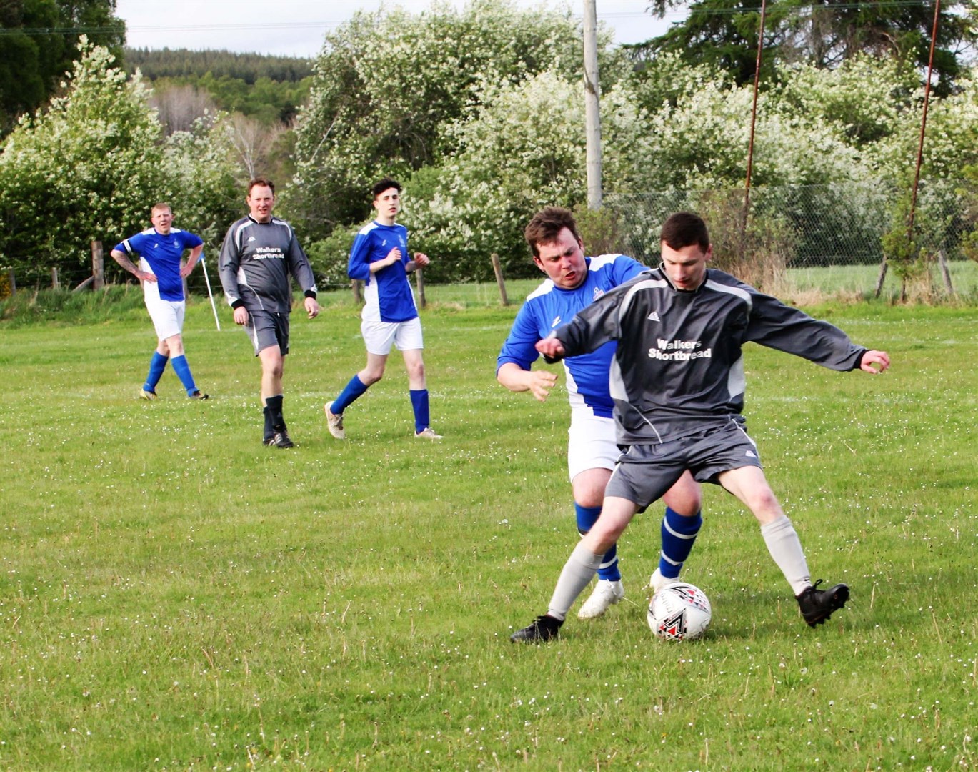 Rover’s Cameron Falconer goes in for a challenge on Abernethy’s Matt McHendry.