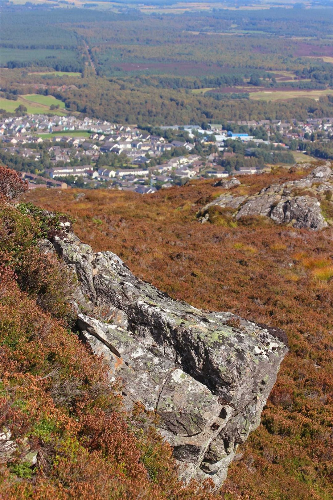 Commanding views... from the top of Craigellachie overlooking Aviemore. Picture: David Macleod.