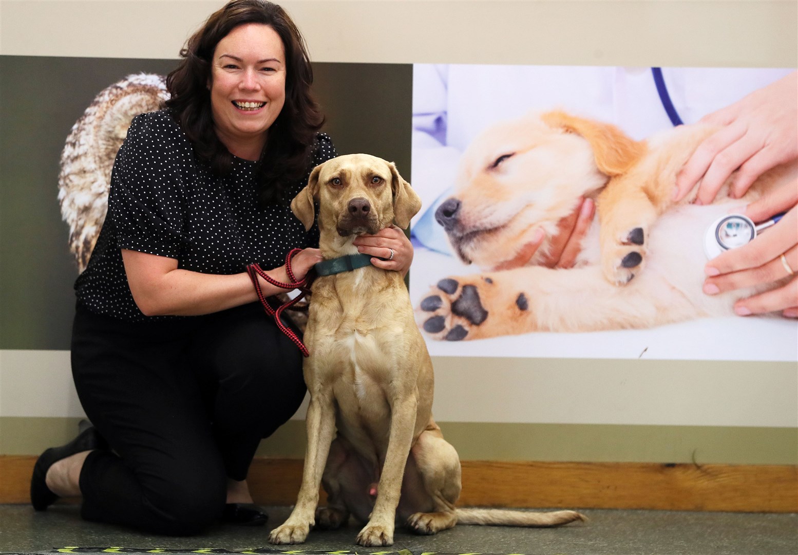 Colleen Tinnelly, development manager at the USPCA, with three-year-old Sid, who has recently been rehomed, at the charity’s facility in Newry (Brian Lawless/PA)