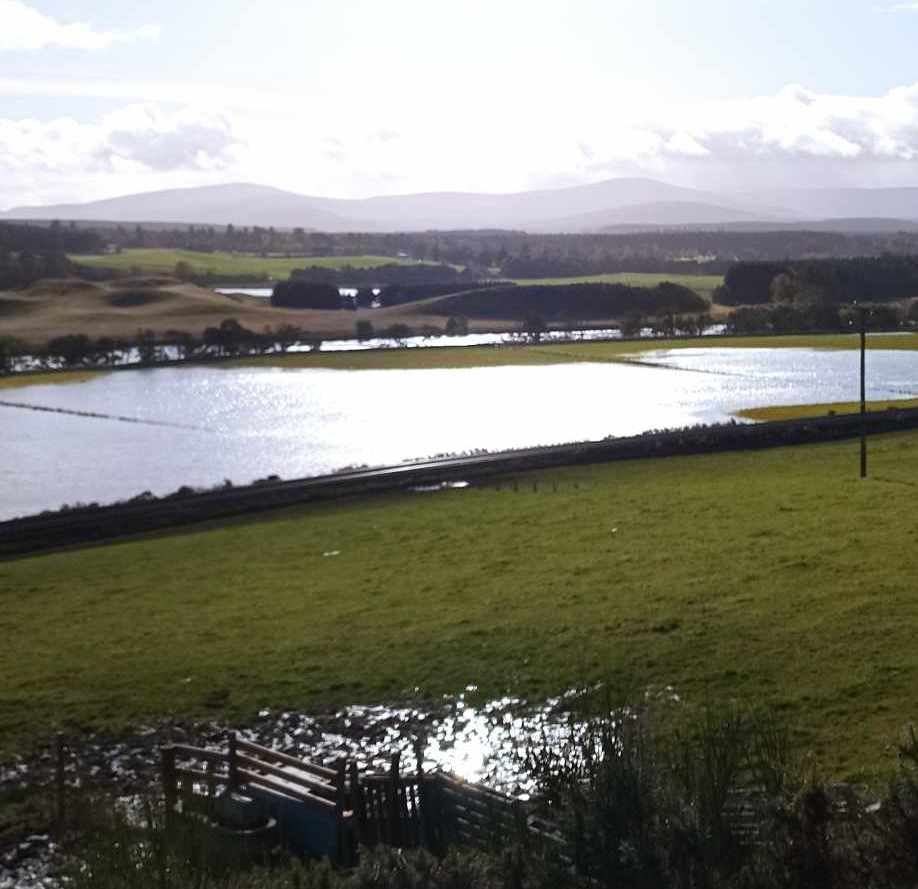 Strathspey still shines this weekend as the waters recede so slowly. Picture Sandrone