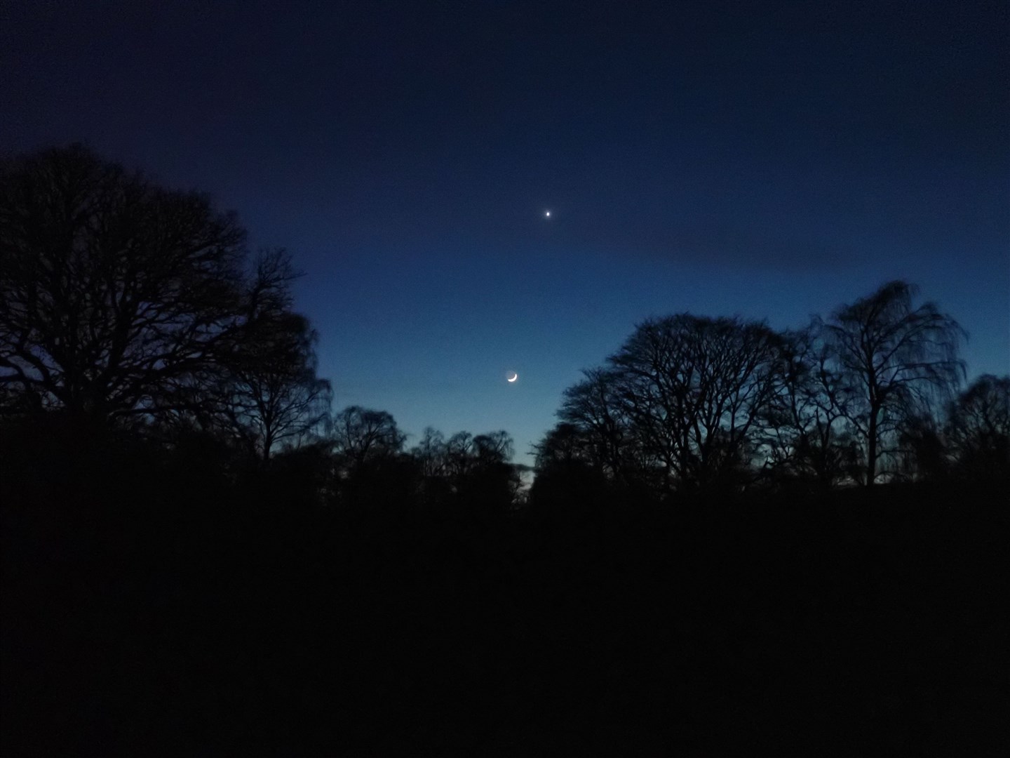 Venus and the moon above the trees at Torbreck.
