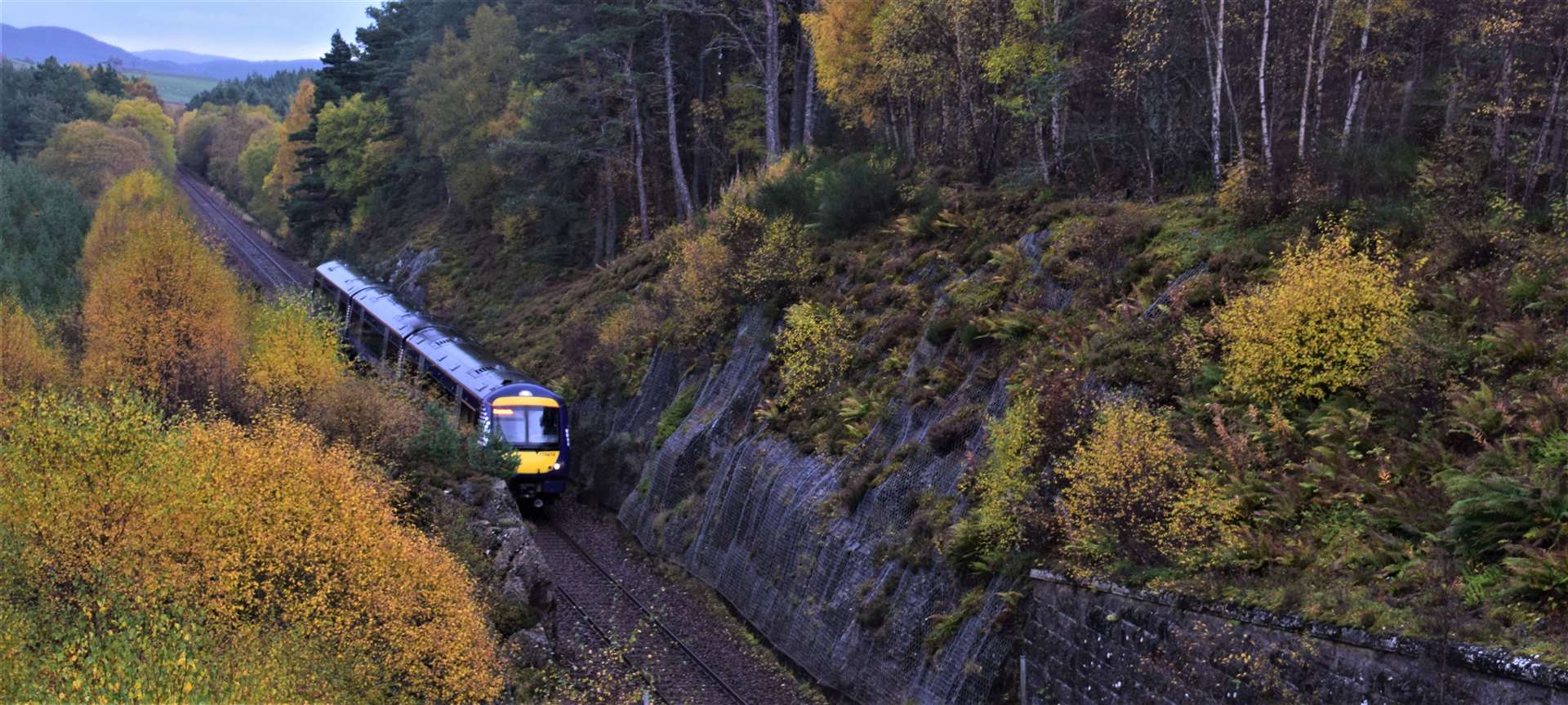 A ScotRail train on the Highland mainline between Carrbridge and Slochd. Picture: Philip Murray.
