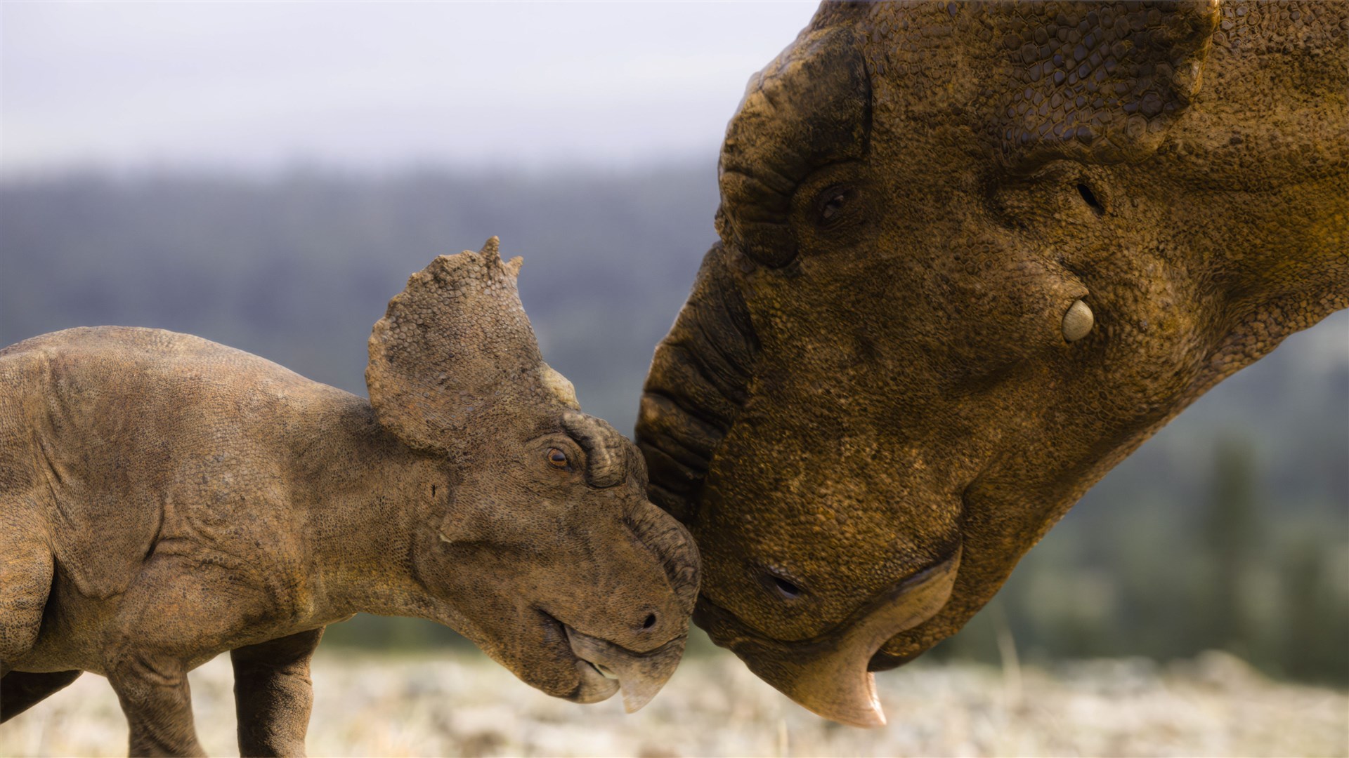 An adult and baby pachyrhinosaurus nuzzling each other in first-look images from the new BBC series of Walking With Dinosaurs (Lola Post Production/BBC Studios)