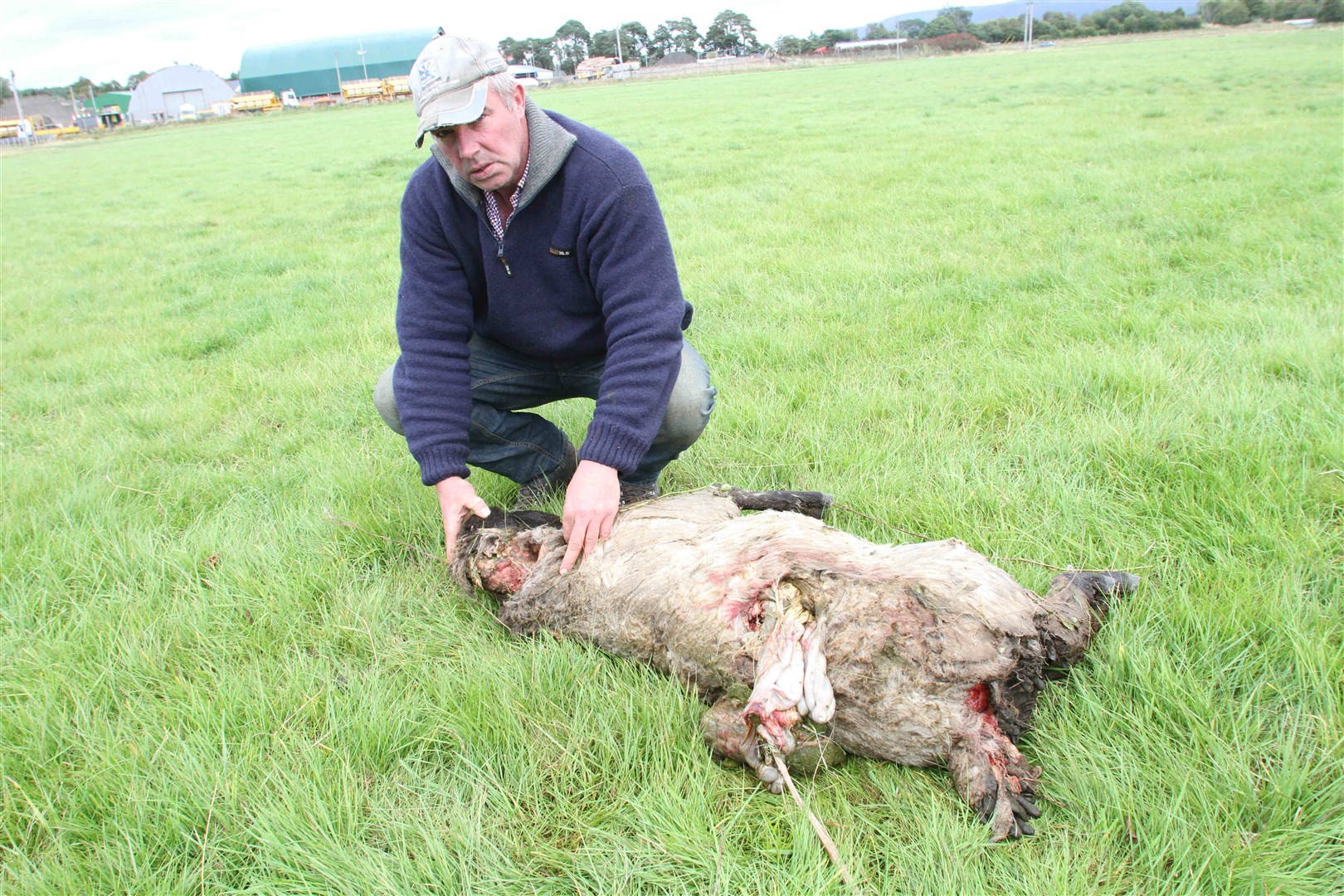 Stuart Annand inspecting the damage yesterday