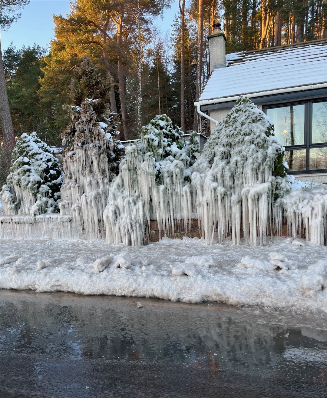 Unusual ice formations opposite the Highland Folk Museum in Newtonmore on Saturday where a large puddle had been splashing onto a hedge. Picture: Kian Galt.