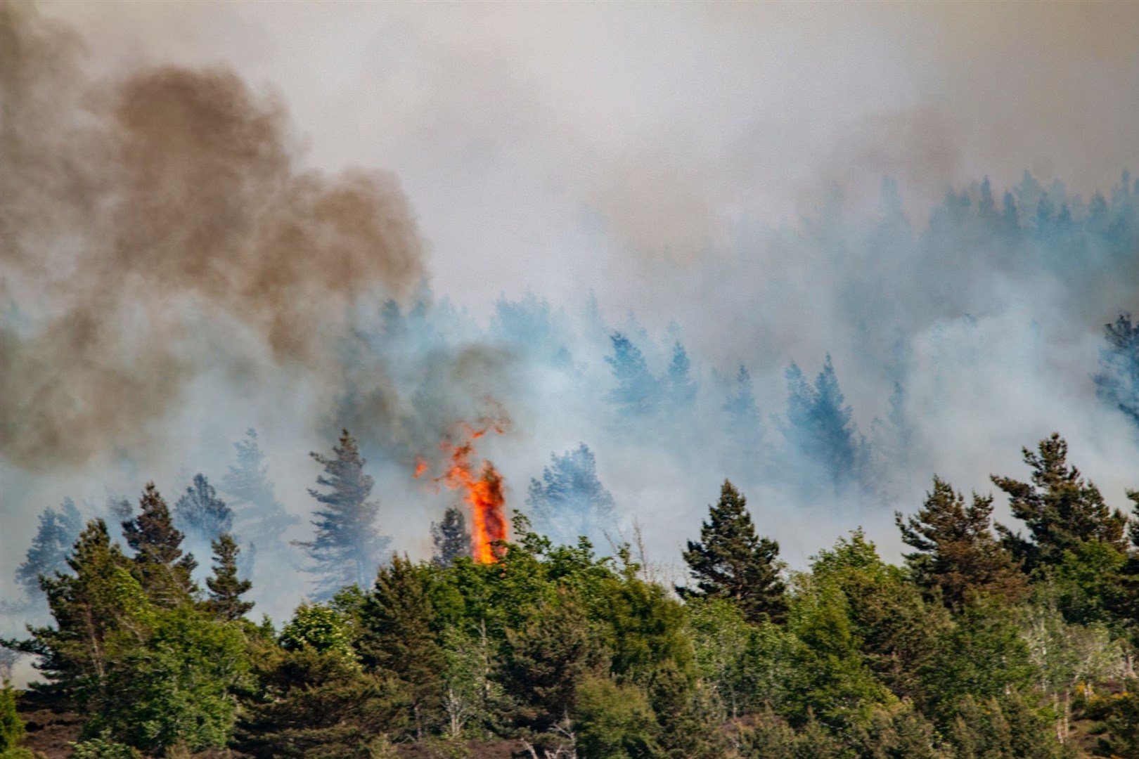 Wildfire near Daviot. Picture: Andy Walker Photography