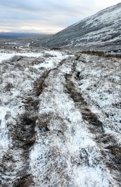 Balavil Estate, Balavil Farm, Cairngorms National Park Authority, CNPA