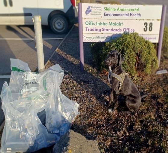 Sniffer dog Boo assisted officers to find the illicit products.