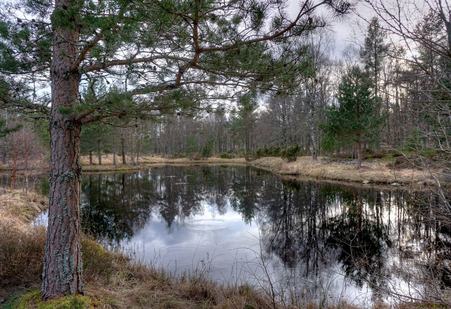 A tranquil place to unwind.