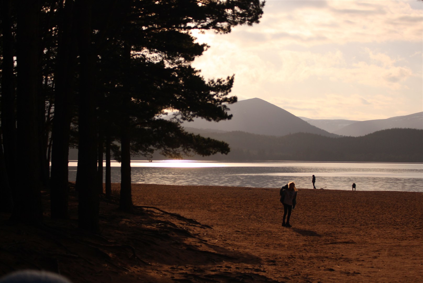 Heading through the trees towards the sandy beach at Loch Morlich.