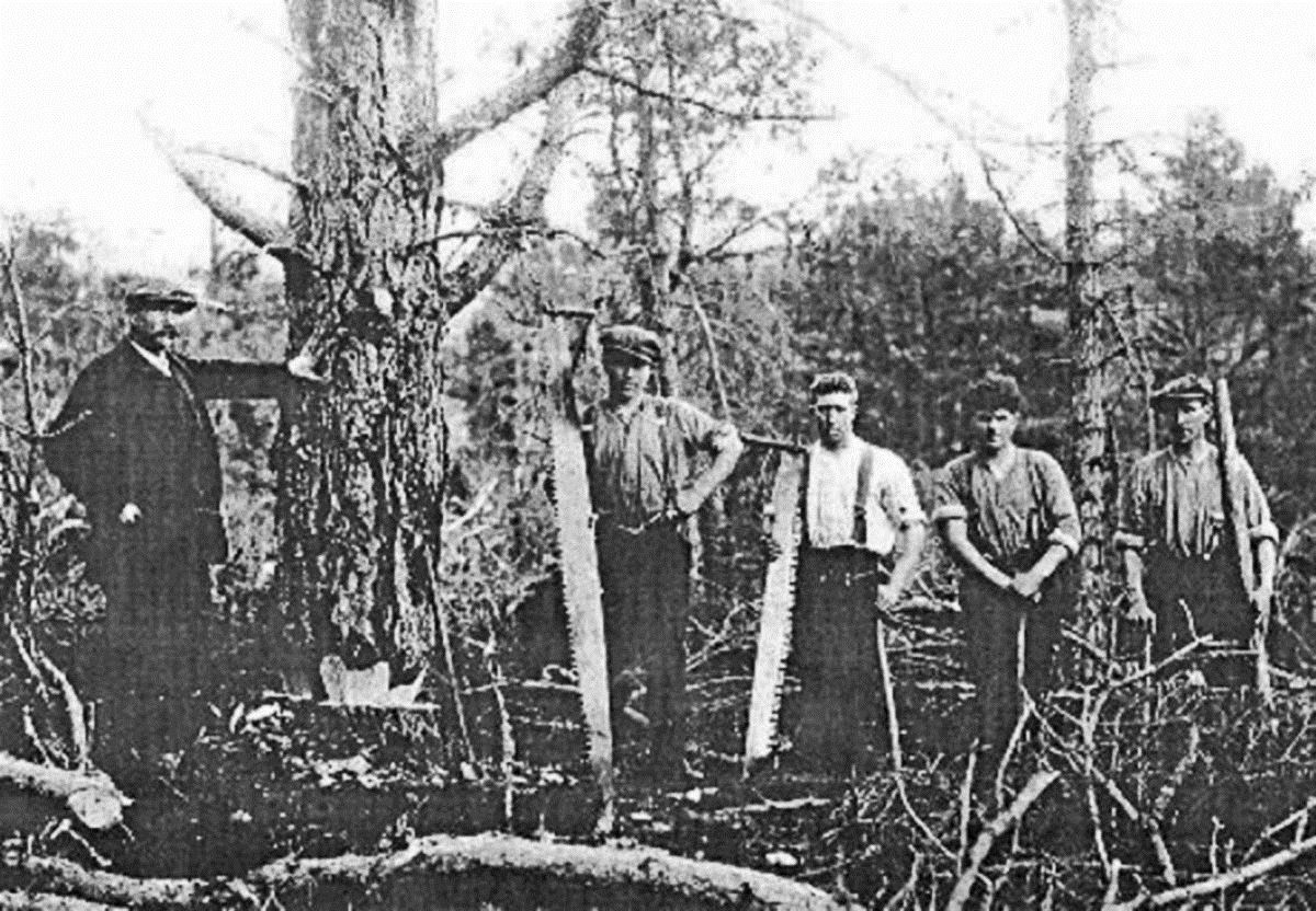 Woodcutters at Carrbridge in 1925. Picture: Ian MacInnes.