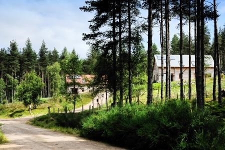 New system will help planners see the wood for the trees