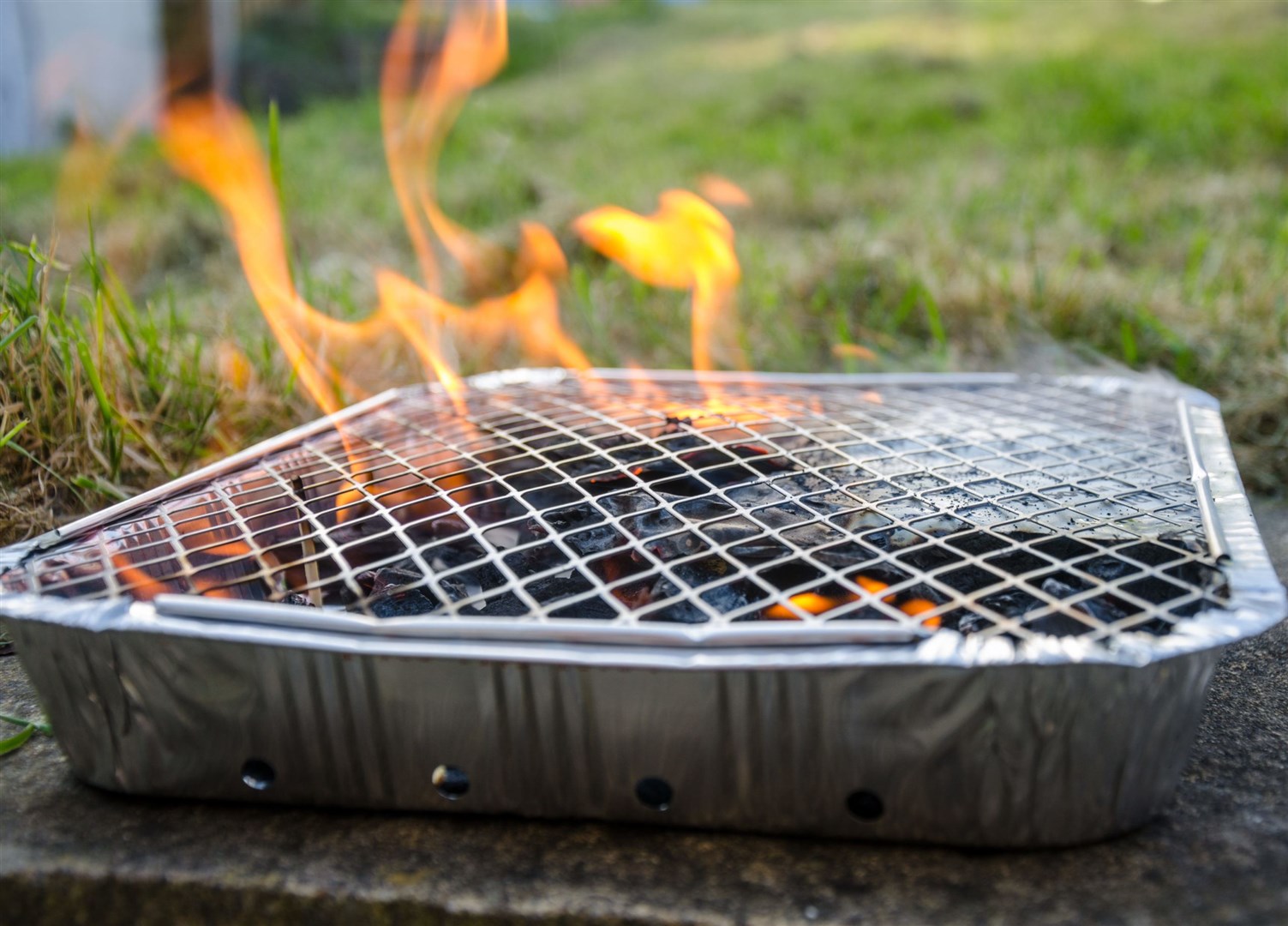Disposal barbecues could potentially be banned from being used in the Cairngorms National Park.