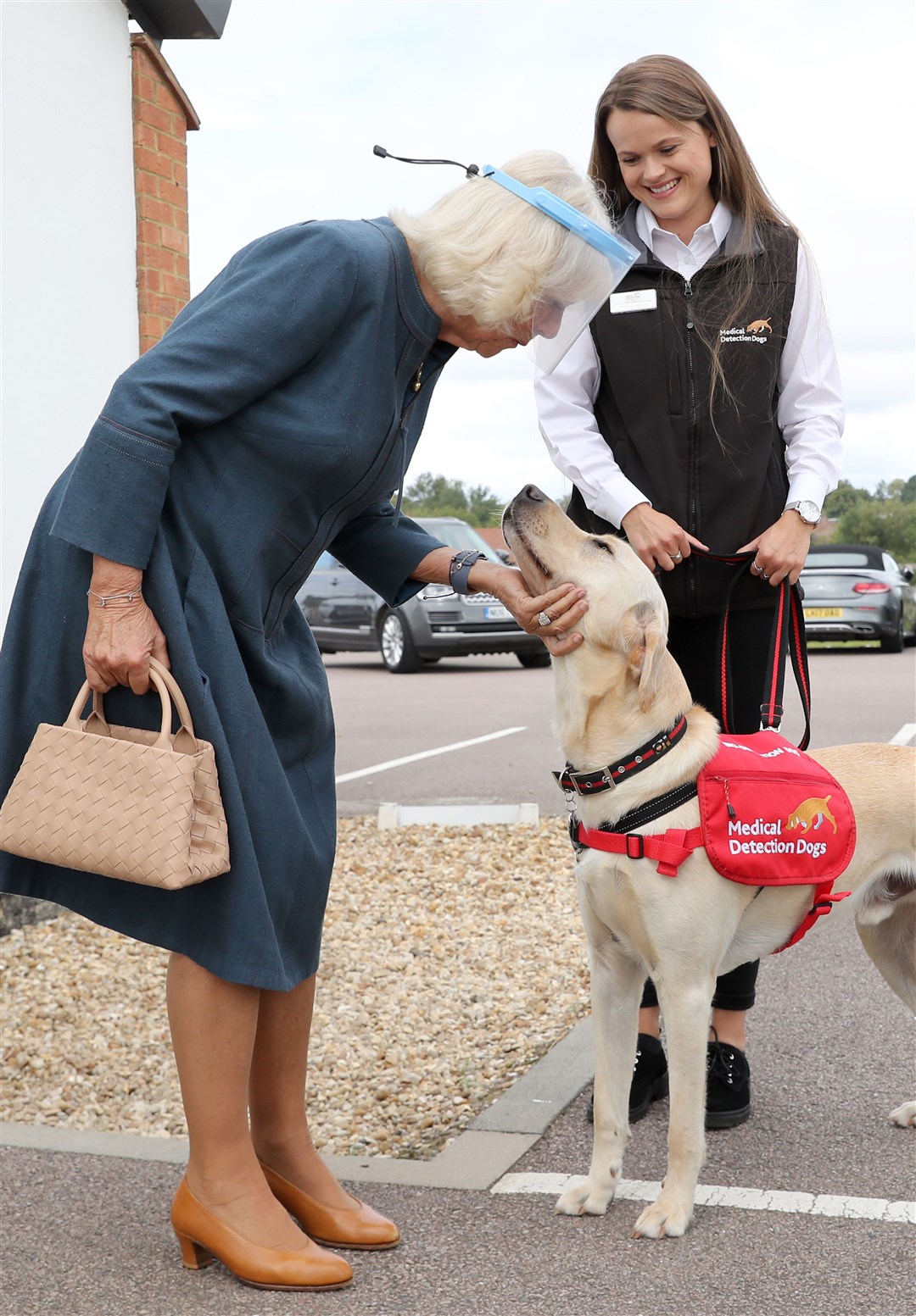Camilla meets Storm, a Labrador Golden Retriever cross (Chris Jackson/PA)