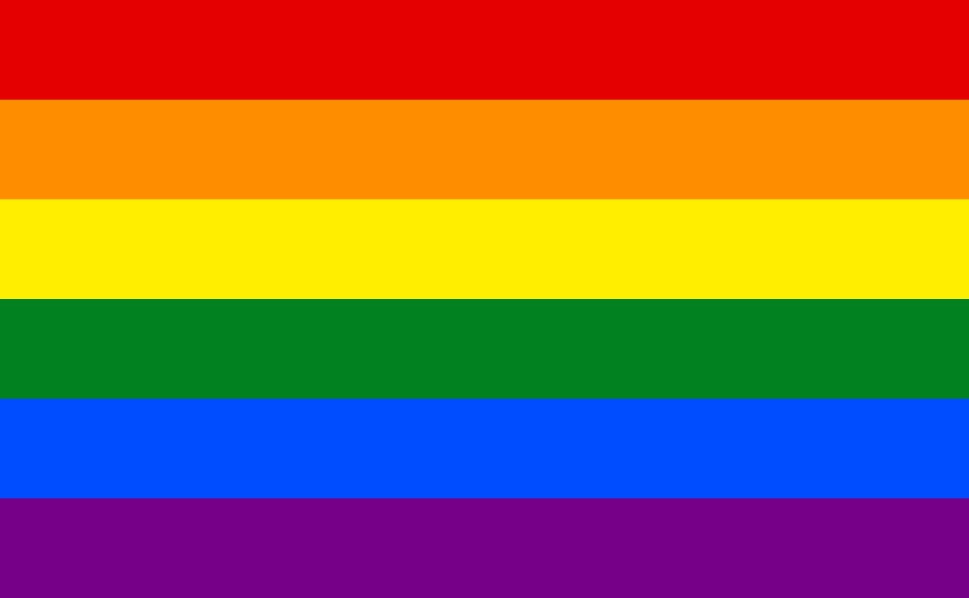 The rainbow pride flag.