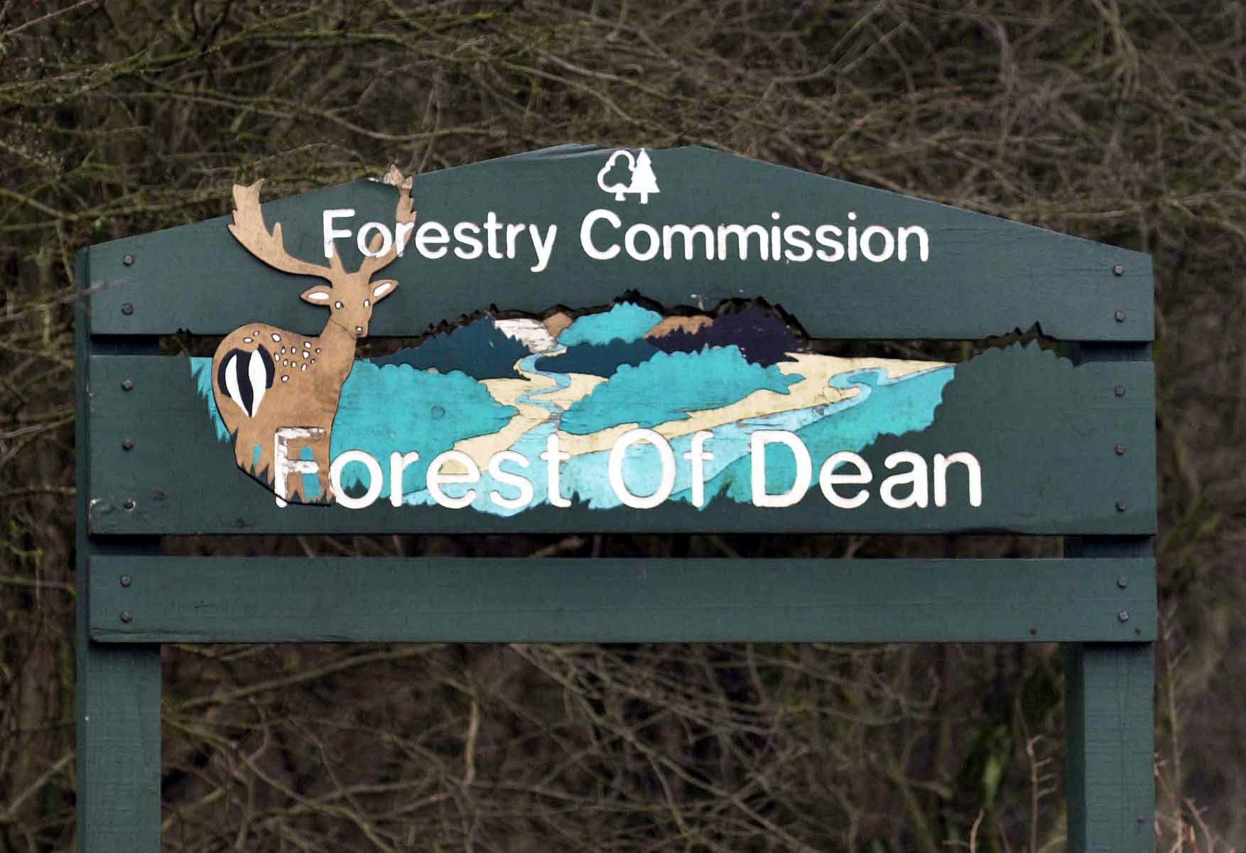 The sign at the entrance to the Forest of Dean, Gloucestershire (Barry Batchelor/PA)