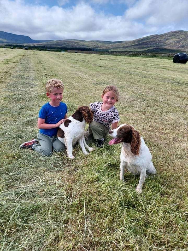 Reunited: Liam holds Tia, Maggie's sister, while Holly and Maggie get to know each other again on the lovable spaniel's first walkies back home in Kingussie after her strange abduction to Perthshire.