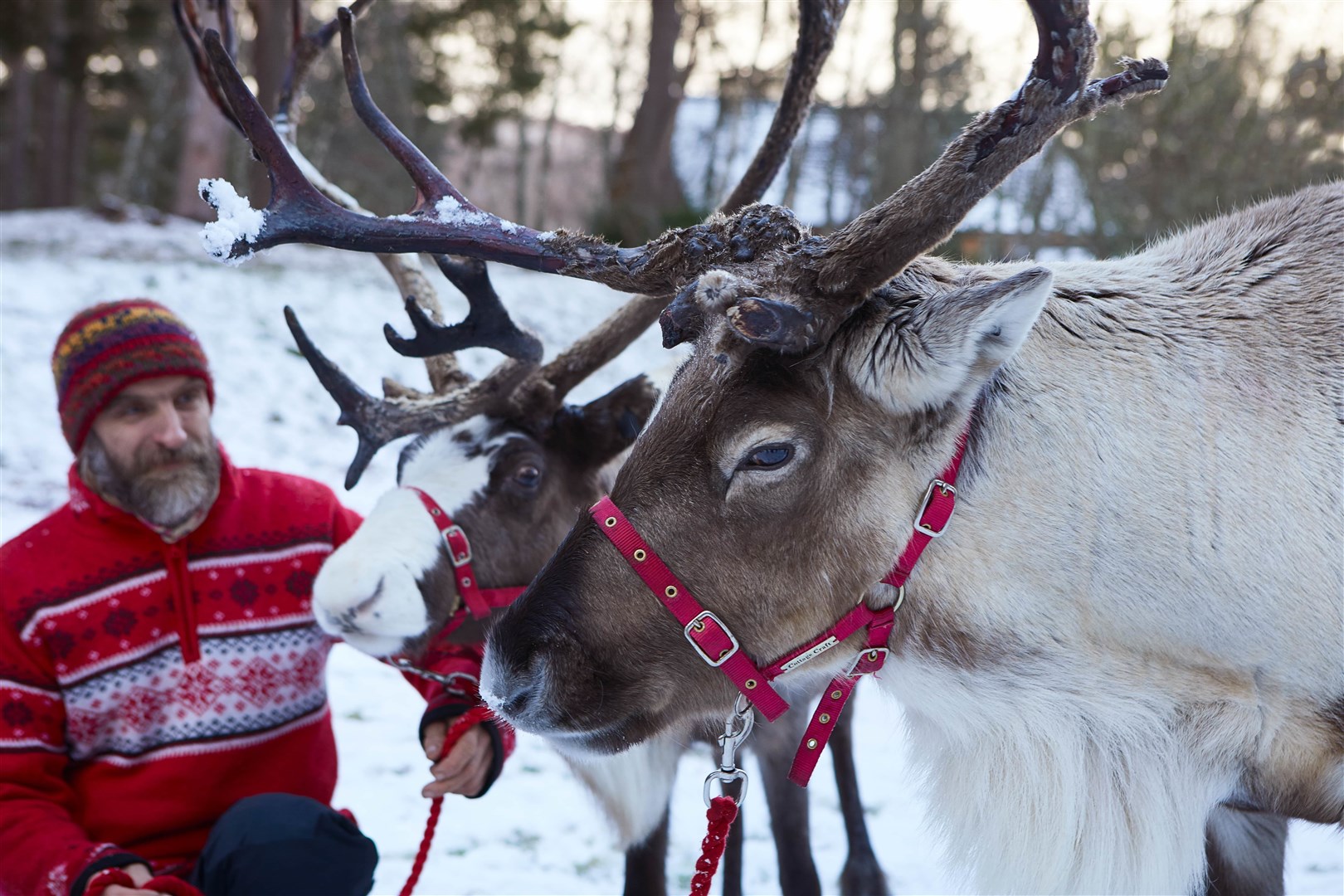 Macdonald Aviemore Resort is appealing for families to share their memories from its iconic "winter wonderland".