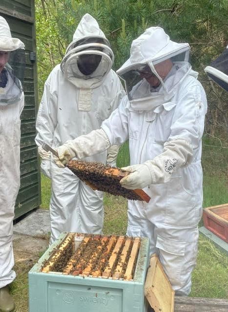 SWEET SUCCESS: Aviemore hives kept by the local association are doing well despite the welter of challenges the insects are facing.