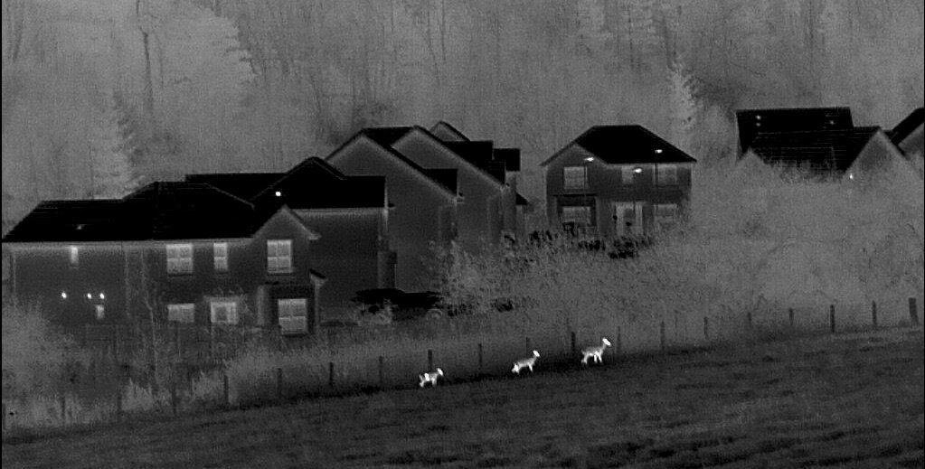 LET THERE BE LIGHT: Night sights will aid management of wildlife.