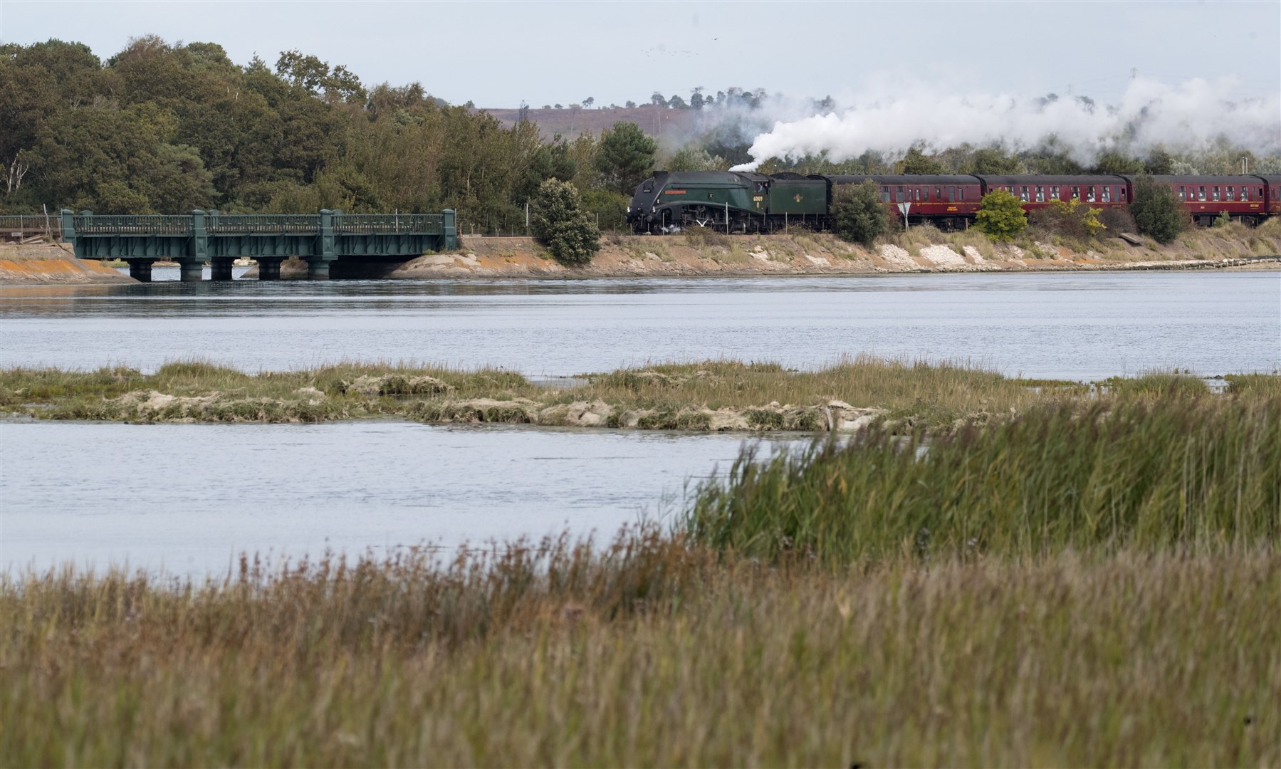 Algae in Poole Harbour is damaging native sea grasses (Andrew Matthews/PA)