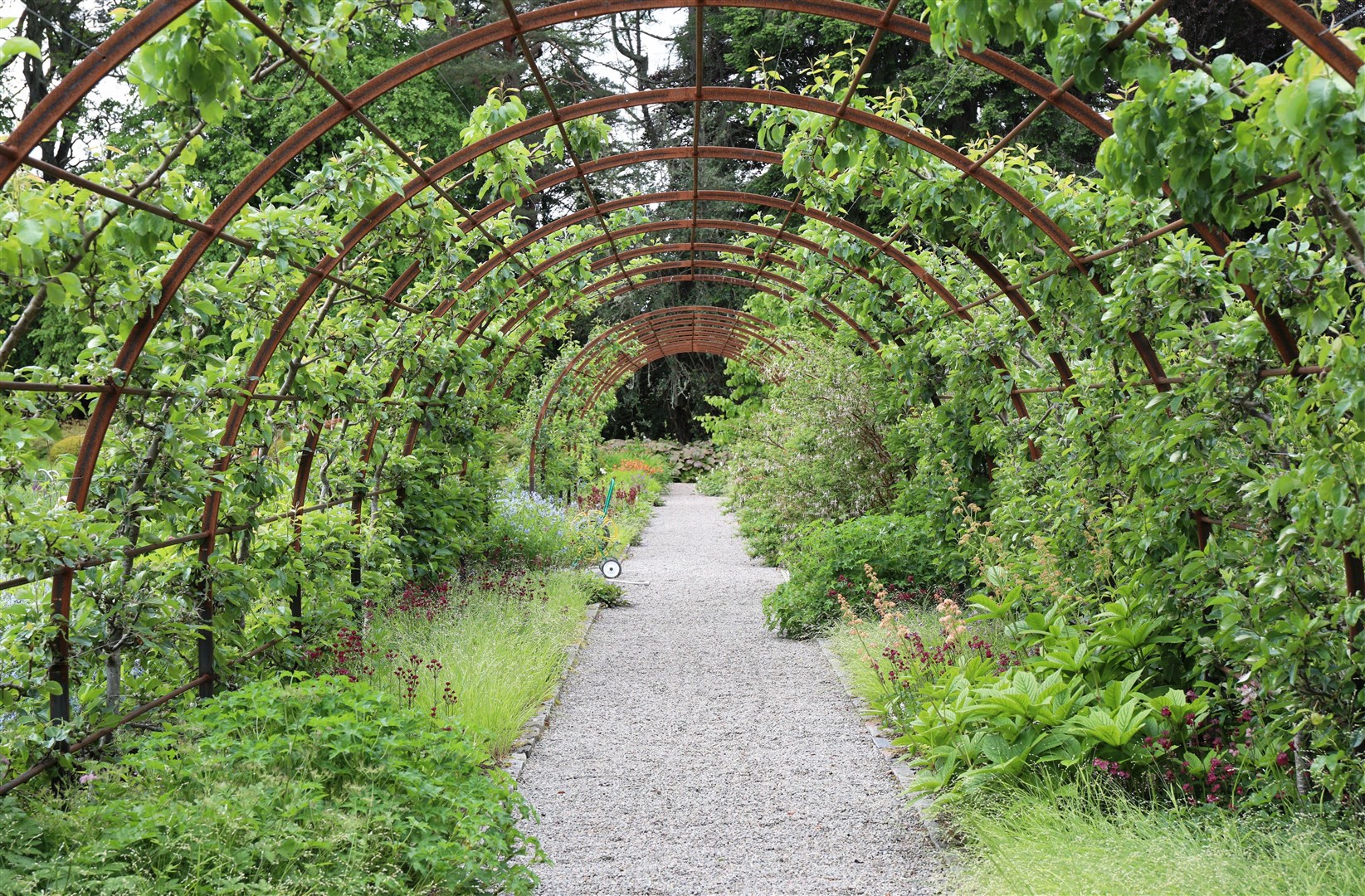 A tunnel leads the way through the garden. Picture: Peter Jolly