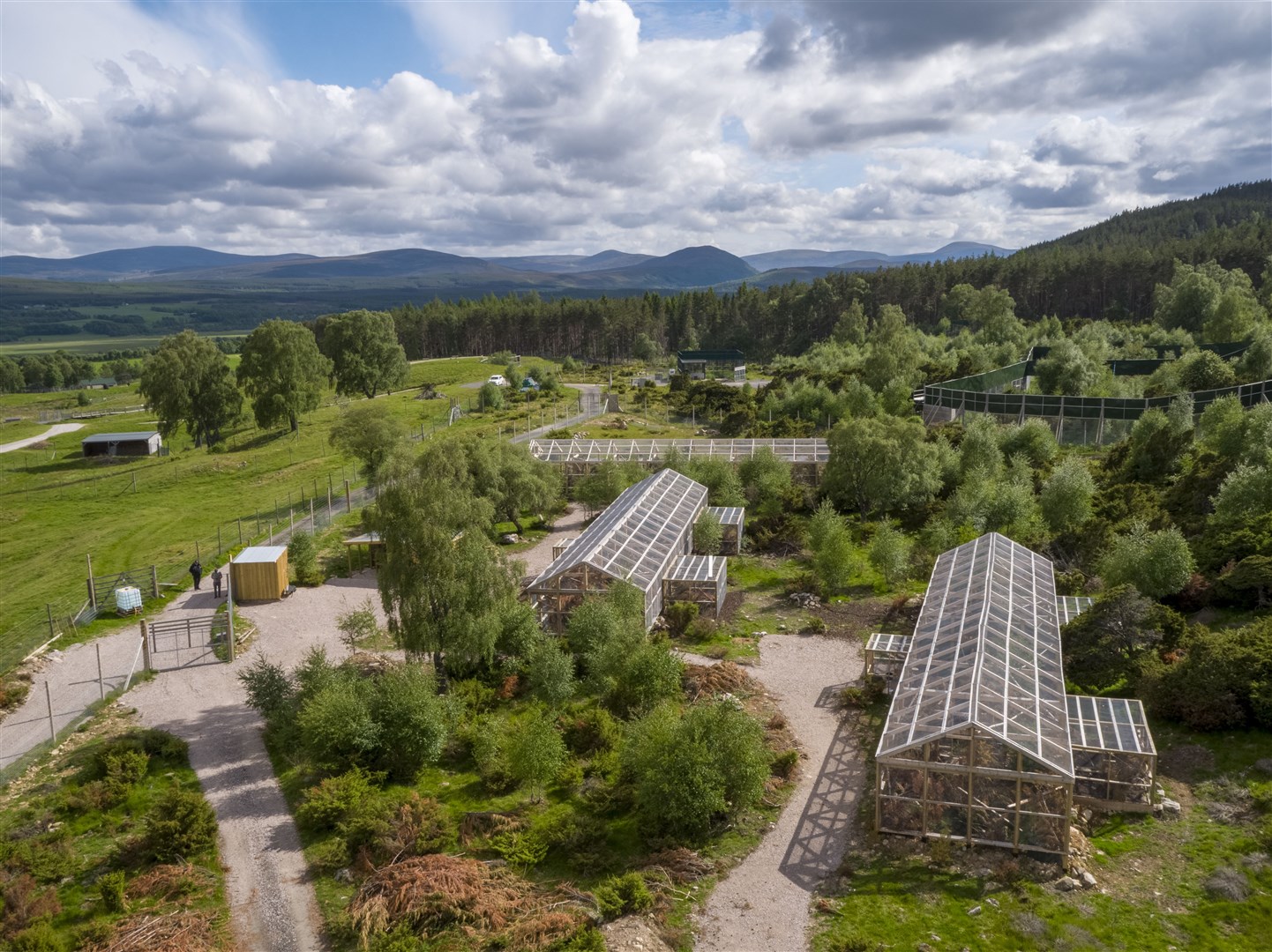 Saving Wildcats conservation breeding enclosures at the Highland Wildlife Park. Picture: Saving Wildcats.